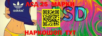 мяу мяу мука Будённовск