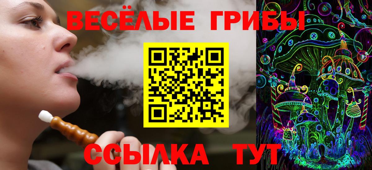 Мелеуз  Псилоцибиновые грибы Psilocybine cubensis  Псилоцибиновые грибы Cubensis  Вход с VPN 