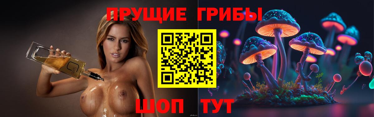 Псилоцибиновые грибы мухоморы Мелеуз